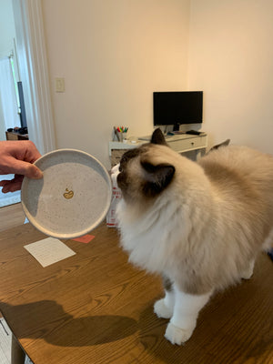 Custom Pet Ceramics